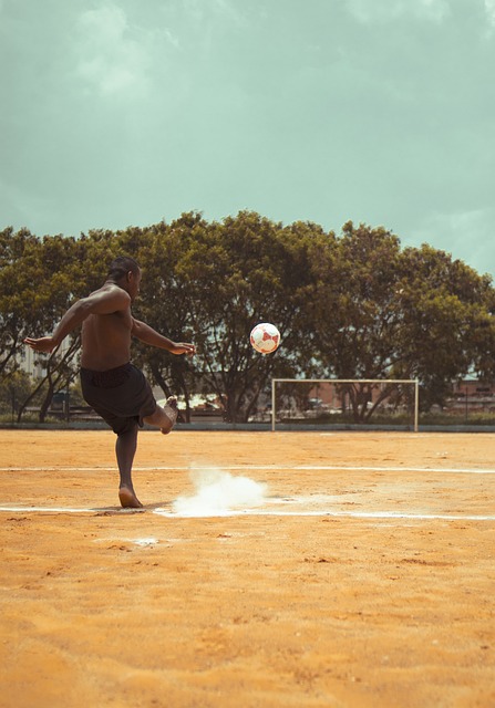 这种导向的 这种导向的