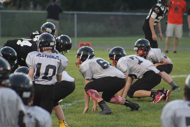 城北体育公 城北体育公