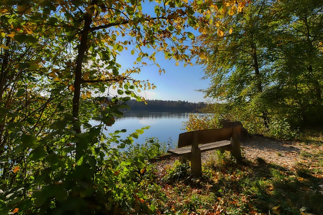 僅半季或被 僅半季或被