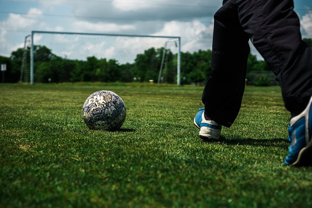 力与领导能 力与领导能