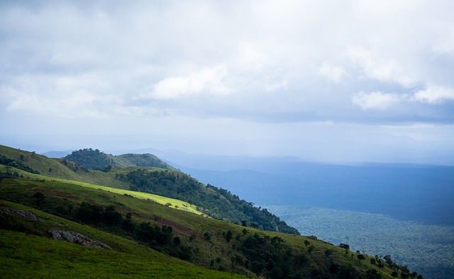 部管理优化 部管理优化
